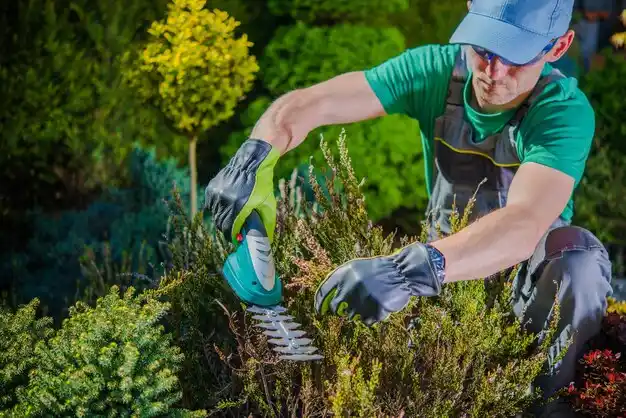 landscaping services Maybee